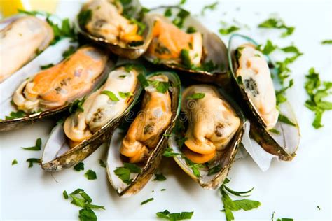 Edible Mussels Royalty Free Stock Photo - Image: 7871235