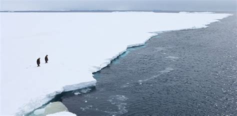 Explainer: how the Antarctic Circumpolar Current helps keep Antarctica frozen