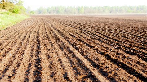 Furrows Freshly Ploughed Field Photograph by Wladimir Bulgar - Fine Art America