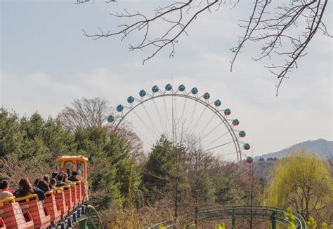 How to Visit Everland Theme Park near Seoul - There She Goes Again