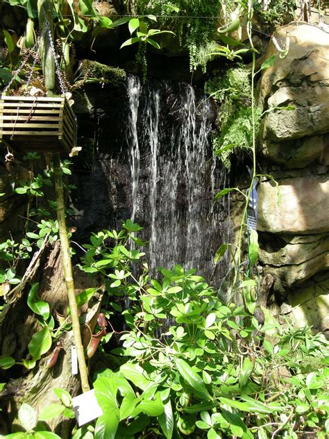 Image: Royal Botanic Gardens, Sydney 04