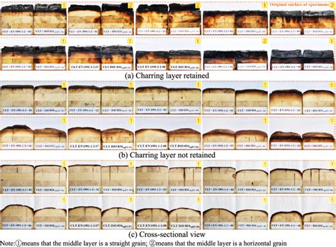 Comparison of the fire effect of CLT specimens under each set of... | Download Scientific Diagram