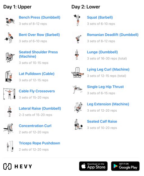 Full Body Workout Vs Upper Lower Split Bodybuilding | EOUA Blog