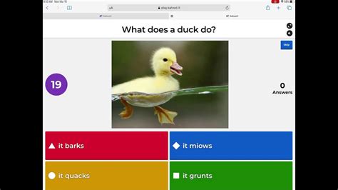 Animals kahoot - YouTube