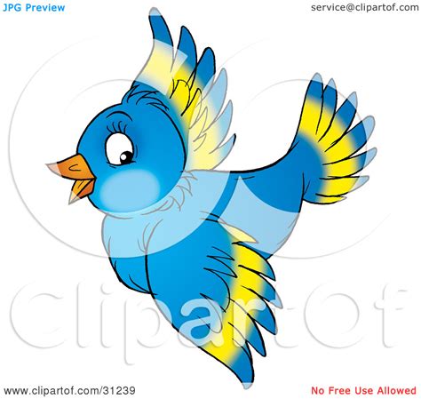 clipart bird wings 20 free Cliparts | Download images on Clipground 2024