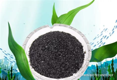 News - Seaweed Fertilizer