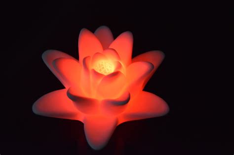 Bring a subtle romantic mood with this lotus light. Pop round your room, bathroom or settle to ...