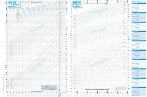 Child Weight Chart Uk | ubicaciondepersonas.cdmx.gob.mx