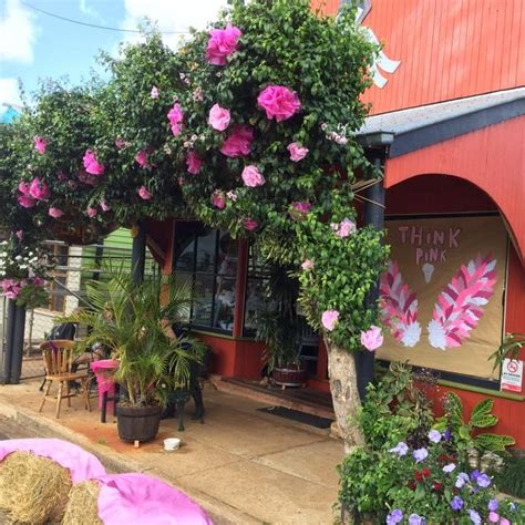 Yungaburra Heritage Village | Yungaburra QLD