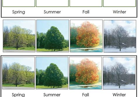 This Seasons Chart features the same tree through the different seasons of the year. I looked a ...