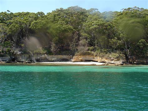 Tropical and subtropical dry broadleaf forests ~ Jungle World