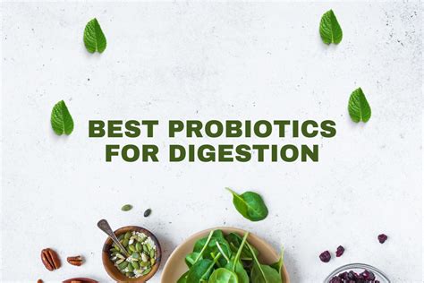 Best Probiotics for Digestion - Improve Digestive Health and Nutrient ...