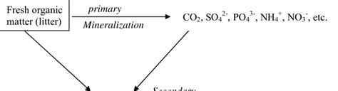 1: Decomposition of fresh organic matter, humification and ...