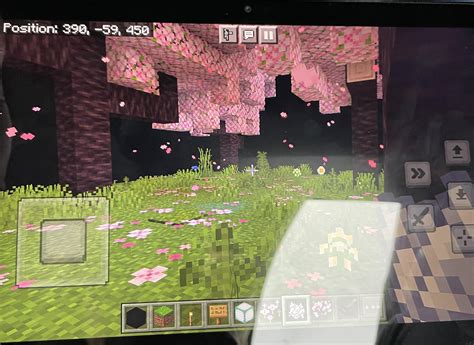 Cherry Blossom biome in my map : r/Minecraft