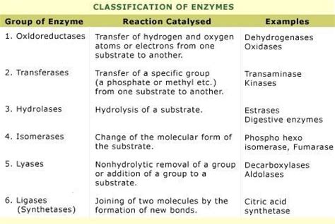 Classification of Enzymes ... (*) OTHLIL 【 Note: Lyase - Decarboxylase & Aldolase ... Ligase ...