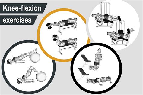 Exercises that activate knee-flexion exercises | Muscle Activation Guide