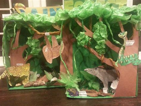 squirrel monkey diorama - Google Search | Rainforest project, Diorama kids, Habitats projects