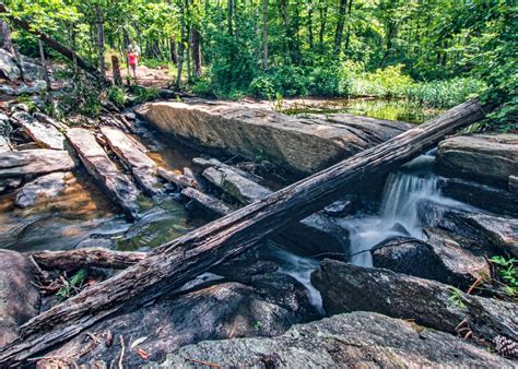 Talladega National Forest (Talladega Division)