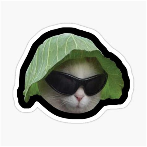 "Sunglasses Cat Meme #5 (Black Outline)" Sticker for Sale by cat-reactions | Redbubble