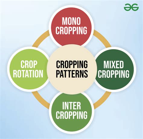 Cropping Patterns - Types, Rotation, Benefits, Factors - GeeksforGeeks