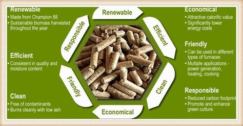 Rapid Growth Projections: Europe Biomass Pellets Industry Set to Surpass US$ 22,161.2 million in ...