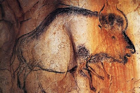 Running Bison. The artist has shown movement by drawing extra legs. Chauvet Cave in France ...