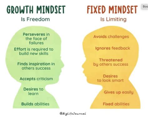 Growth vs. Fixed Mindset — BIO Girls