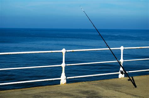 Fishing At Sea Free Stock Photo - Public Domain Pictures