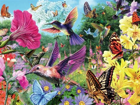 Hummingbirds and Butterflies Wallpapers - 4k, HD Hummingbirds and Butterflies Backgrounds on ...