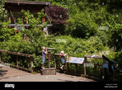 The Bronx Zoo, Wildlife Conservation Society, Bronx Park, Bronx, NYC ...