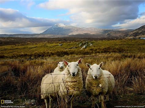 Farmland Landscape Scotland Wallpapers - Top Free Farmland Landscape ...