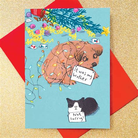 Dog Christmas Card Funny Dog And Cat Card By jo clark design | notonthehighstreet.com