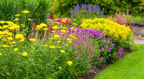 18 Summer Flowers for the Prettiest Garden Ever