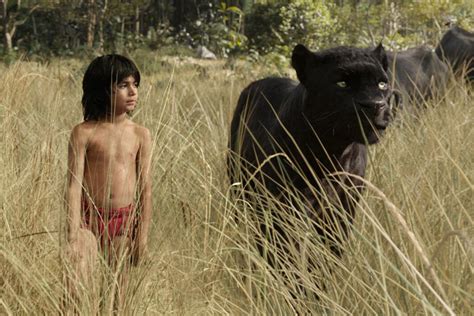 Mowgli, Bagheera et Balou sont de retour dans "Le Livre de la Jungle" - Livres Hebdo