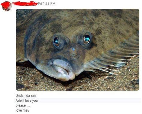 Live-action flounder from Little Mermaid : r/memes