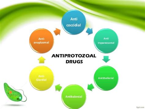 Classification of antiparasitic drugs