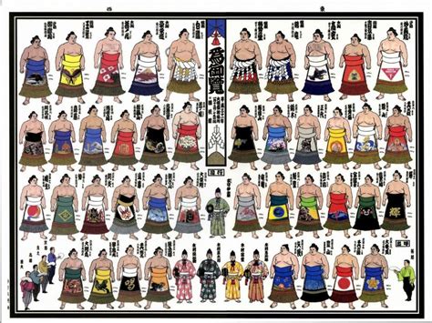 2019 January Picture Banzuke - Tamawashi's First Win; Kisenosato's Las ...