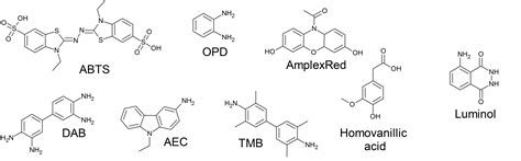 Horseradish Peroxidase