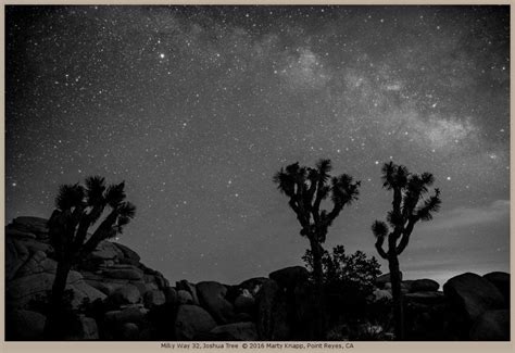 Joshua Tree Night Sky Photography - Marty Knapp