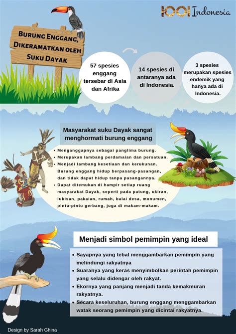 Burung Enggang, Burung yang Dikeramatkan oleh Suku Dayak