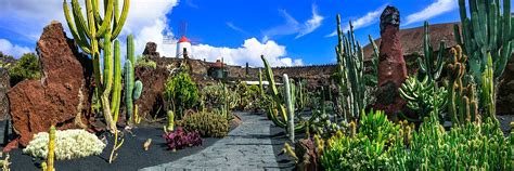 Jardín de Cactus - Cactus Garden in Lanzarote