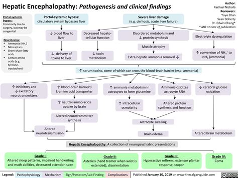 Hepatic Encephalopathy: Pathogenesis and Clinical Findings | Calgary Guide