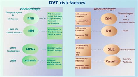 The most important DVT risk factors in hematologic/immunologic patients... | Download Scientific ...