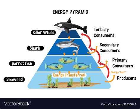 Ocean Energy Pyramid