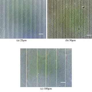 PDMS stamps with (a) 25µm, (b) 50µm and (c) 100µm width (scale bar 50µm ...