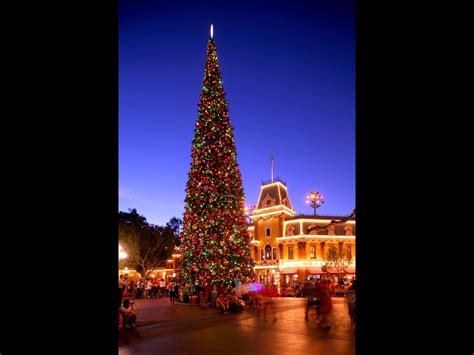 Disney tree | Disney christmas, Disneyland christmas, Disney world christmas