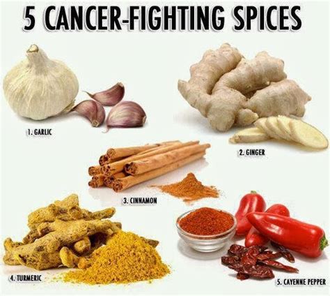 5 Herbs To Fight Cancer