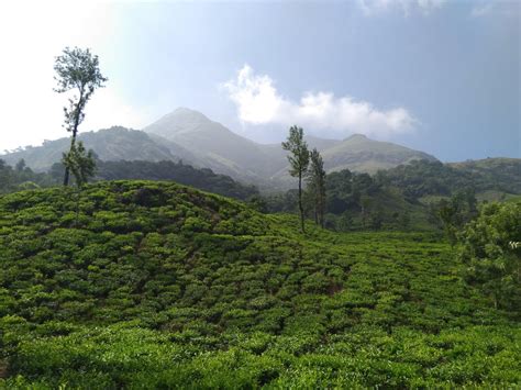 Chembra Peak in Kerala, India. [4608 x 3456, OC] : EarthPorn