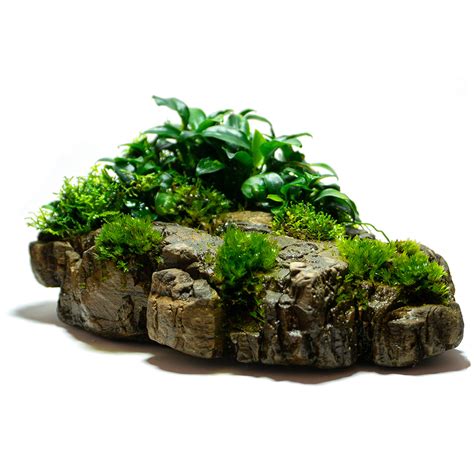 Frodo Stone - Ancient Stone | Hardscape für das Aquarium und Aquascape ...