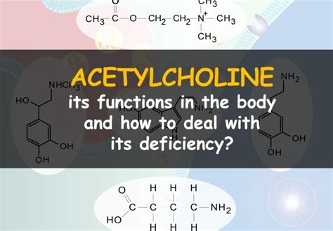 Acetylcholine: how to increase it, supplements and general info